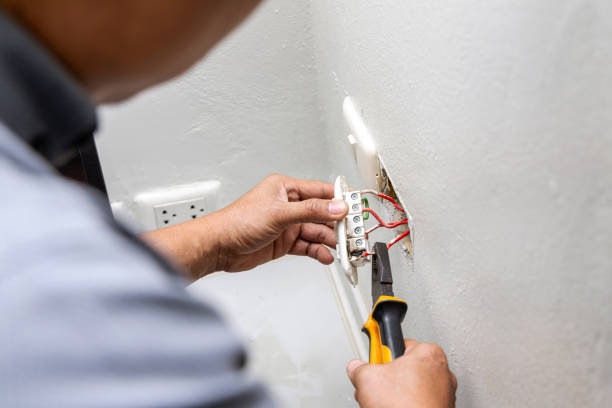 Best Electric Panel Repair  in , AR